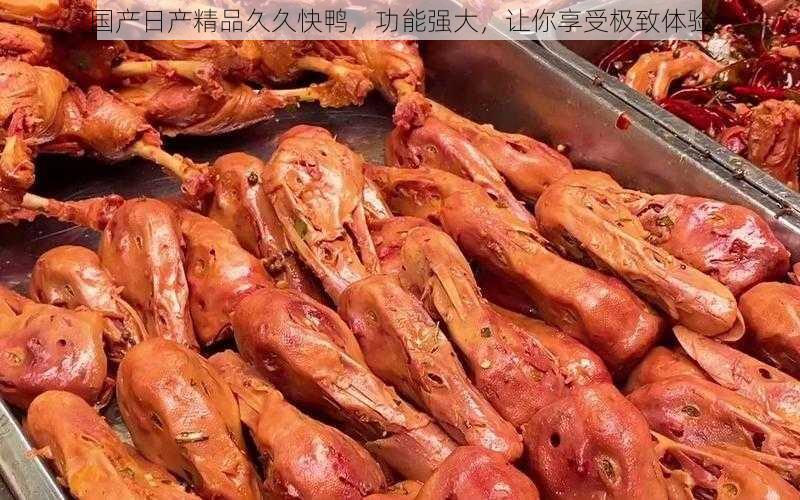 国产日产精品久久快鸭,功能强大,让你享受极致体验