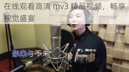 在线观看高清 mv3 精品视频,畅享视觉盛宴