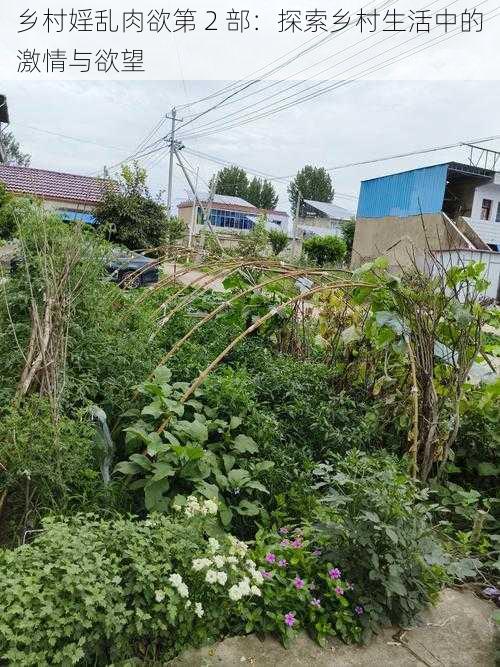 乡村婬乱肉欲第 2 部:探索乡村生活中的激情与欲望