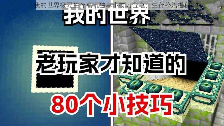 我的世界极限生存高玩独享小技巧分享:生存秘籍揭秘