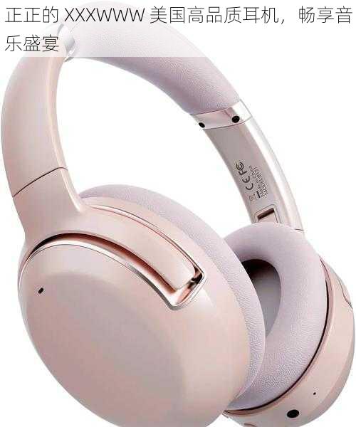 正正的 XXXWWW 美国高品质耳机,畅享音乐盛宴