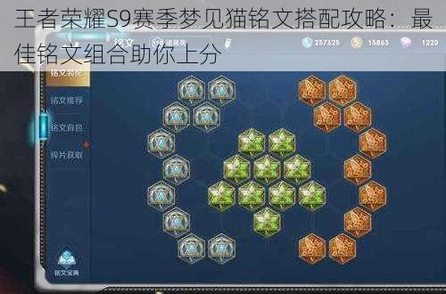 王者荣耀S9赛季梦见猫铭文搭配攻略:最佳铭文组合助你上分