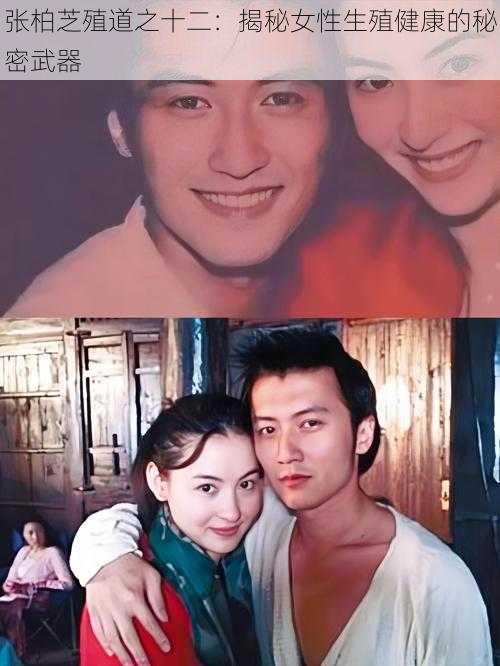 张柏芝殖道之十二:揭秘女性生殖健康的秘密武器