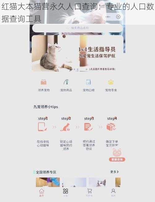 红猫大本猫营永久人口查询:专业的人口数据查询工具