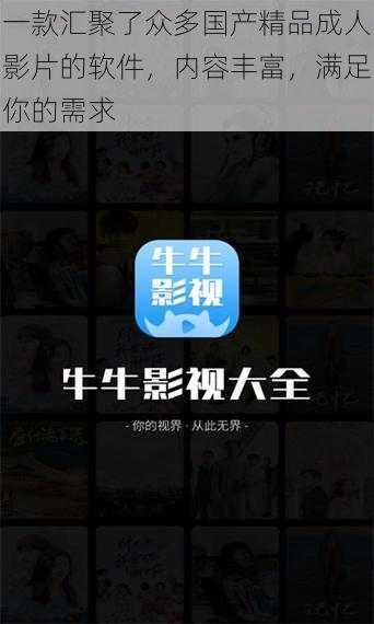 一款汇聚了众多国产精品成人影片的软件,内容丰富,满足你的需求
