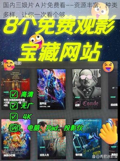 国内三㚫片 A 片免费看——资源丰富,种类多样,让你一次看个够