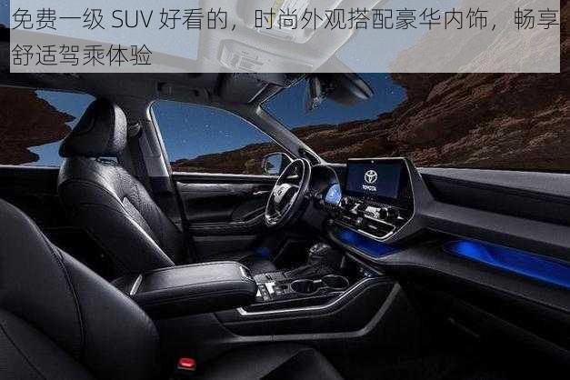 免费一级 SUV 好看的,时尚外观搭配豪华内饰,畅享舒适驾乘体验
