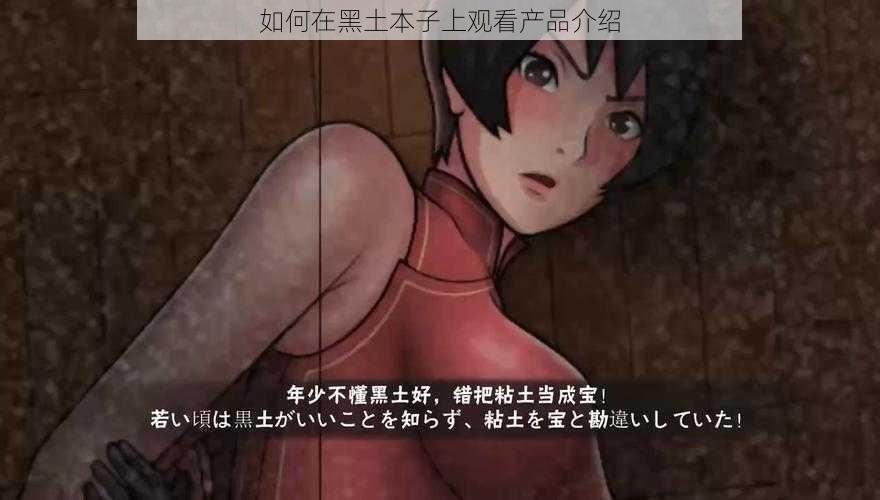 如何在黑土本子上观看产品介绍