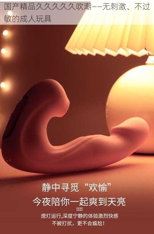 国产精品久久久久久吹潮——无刺激、不过敏的成人玩具