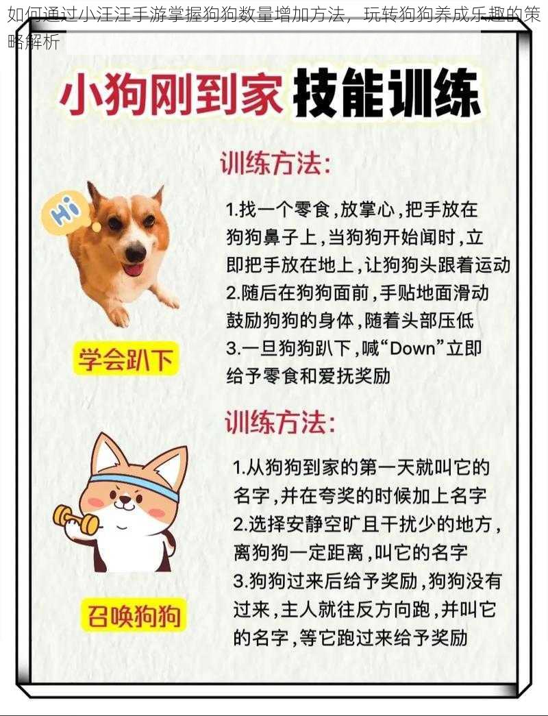 如何通过小汪汪手游掌握狗狗数量增加方法,玩转狗狗养成乐趣的策略解析