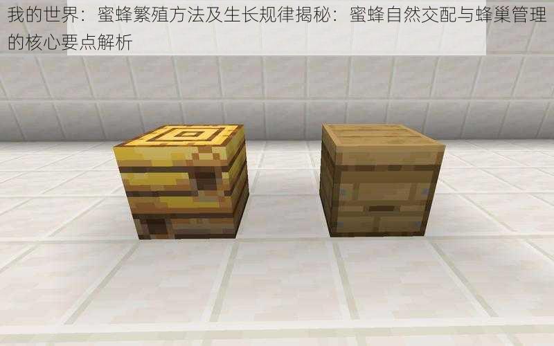 我的世界:蜜蜂繁殖方法及生长规律揭秘:蜜蜂自然交配与蜂巢管理的核心要点解析