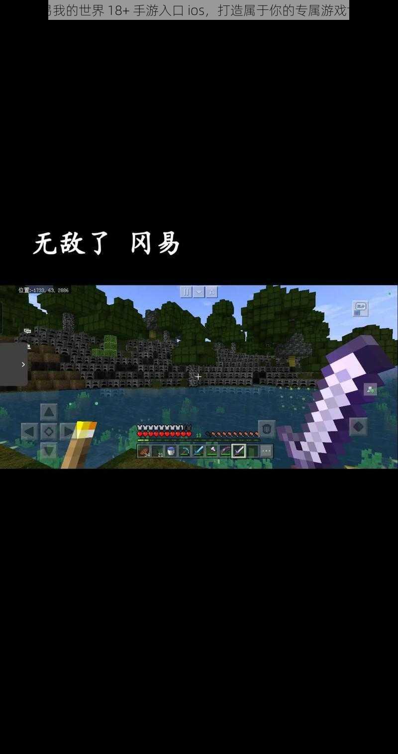 网易我的世界 18+ 手游入口 ios,打造属于你的专属游戏世界