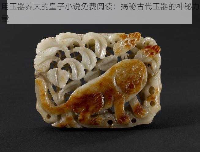 用玉器养大的皇子小说免费阅读:揭秘古代玉器的神秘力量
