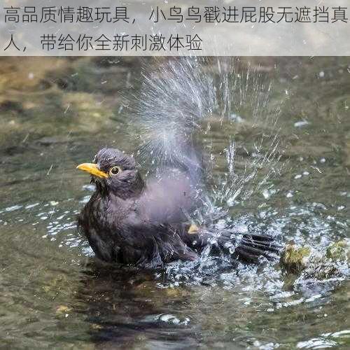 高品质情趣玩具,小鸟鸟戳进屁股无遮挡真人,带给你全新刺激体验