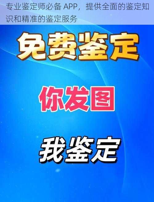 专业鉴定师必备 APP,提供全面的鉴定知识和精准的鉴定服务