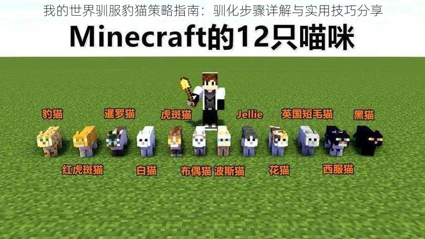 我的世界驯服豹猫策略指南:驯化步骤详解与实用技巧分享