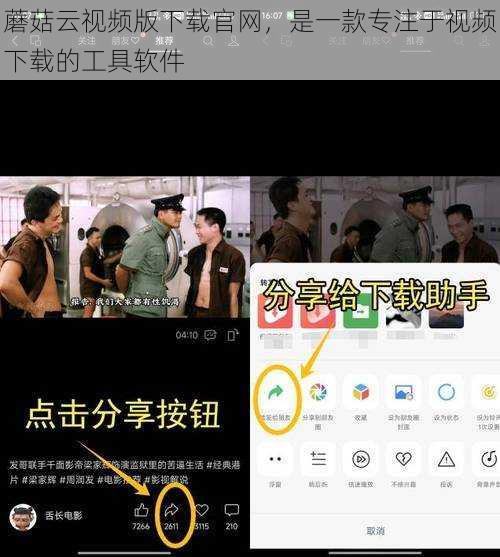 蘑菇云视频版下载官网,是一款专注于视频下载的工具软件
