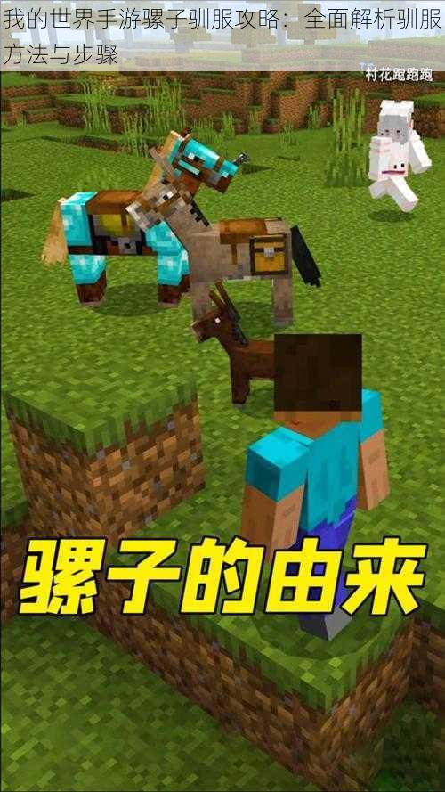 我的世界手游骡子驯服攻略:全面解析驯服方法与步骤