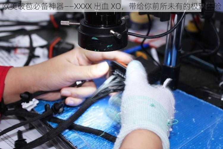 欧美破苞必备神器——XXXX 出血 XO,带给你前所未有的极致体验