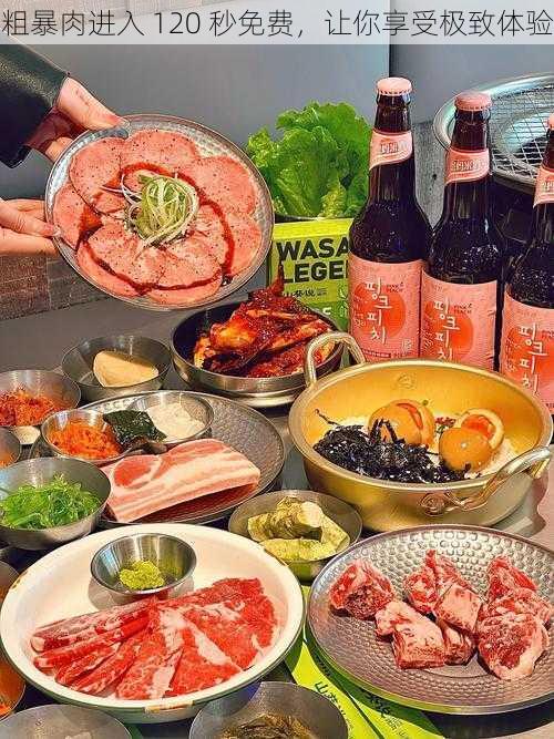 粗暴肉进入 120 秒免费,让你享受极致体验