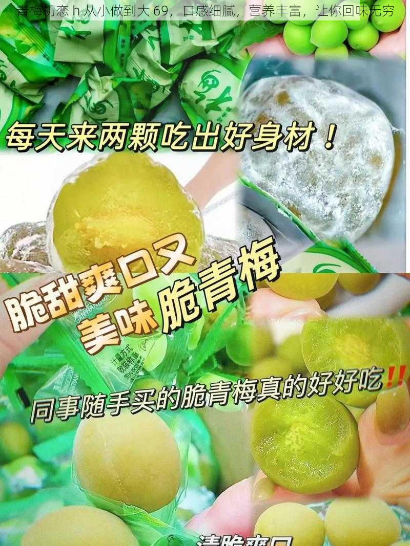 青梅初恋 h 从小做到大 69,口感细腻,营养丰富,让你回味无穷