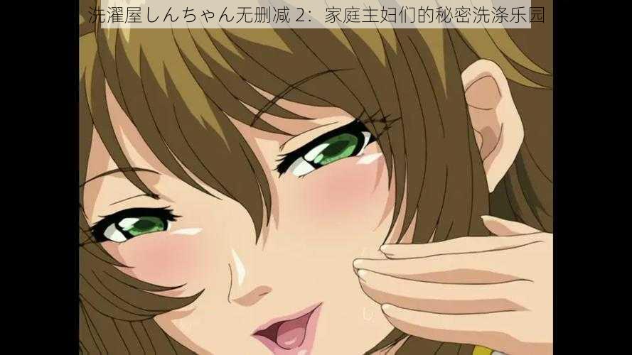 洗濯屋しんちゃん无删减 2:家庭主妇们的秘密洗涤乐园