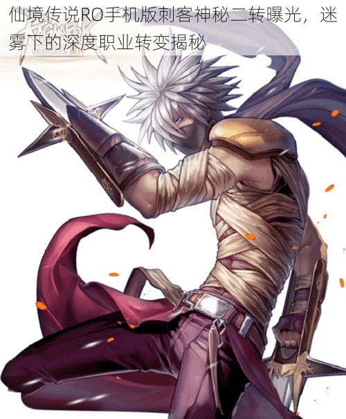 仙境传说RO手机版刺客神秘二转曝光,迷雾下的深度职业转变揭秘