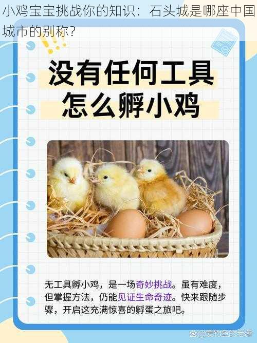 小鸡宝宝挑战你的知识:石头城是哪座中国城市的别称?