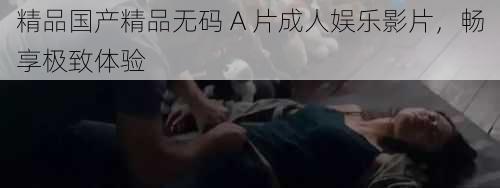 精品国产精品无码 A 片成人娱乐影片,畅享极致体验