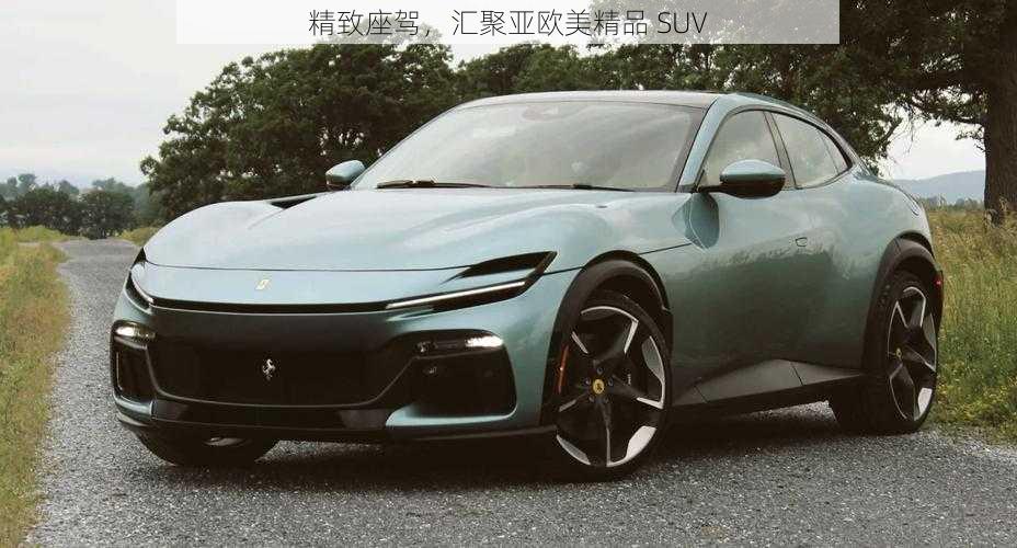 精致座驾,汇聚亚欧美精品 SUV
