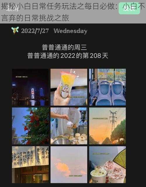 揭秘小白日常任务玩法之每日必做:小白不言弃的日常挑战之旅