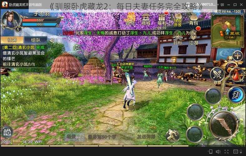 《驯服卧虎藏龙2:每日夫妻任务完全攻略》