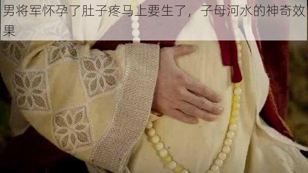 男将军怀孕了肚子疼马上要生了,子母河水的神奇效果