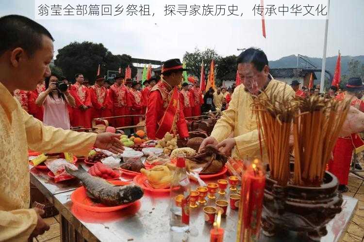 翁莹全部篇回乡祭祖,探寻家族历史,传承中华文化