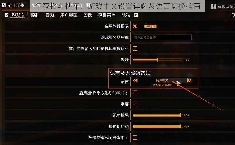 午夜格斗快车:游戏中文设置详解及语言切换指南