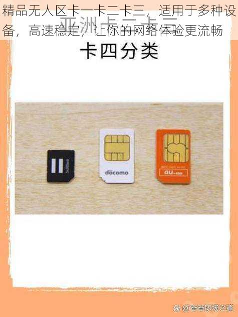 精品无人区卡一卡二卡三,适用于多种设备,高速稳定,让你的网络体验更流畅