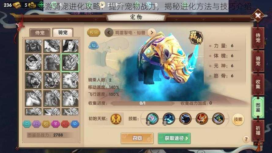 寻仙手游骑宠进化攻略:提升宠物战力,揭秘进化方法与技巧介绍