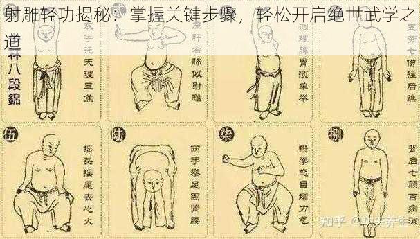 射雕轻功揭秘:掌握关键步骤,轻松开启绝世武学之道
