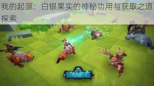 我的起源:白银果实的神秘功用与获取之道探索