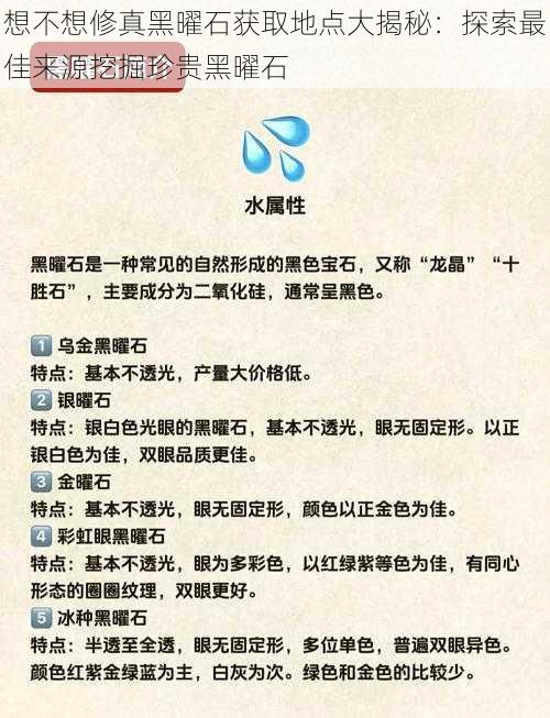 想不想修真黑曜石获取地点大揭秘:探索最佳来源挖掘珍贵黑曜石