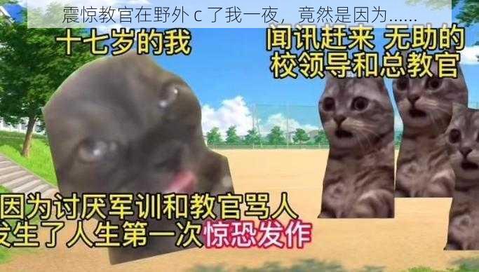 震惊教官在野外 c 了我一夜,竟然是因为......