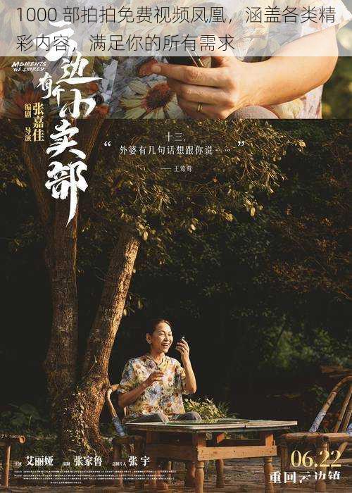 1000 部拍拍免费视频凤凰,涵盖各类精彩内容,满足你的所有需求
