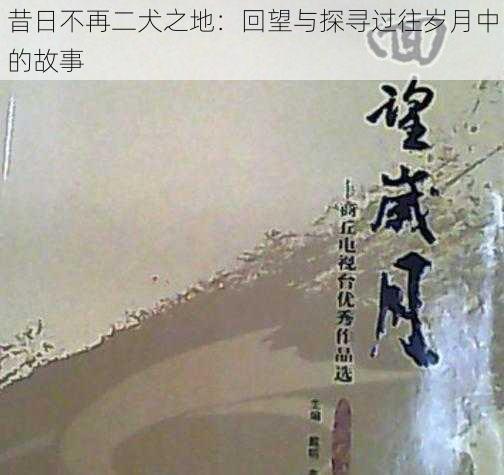 昔日不再二犬之地:回望与探寻过往岁月中的故事