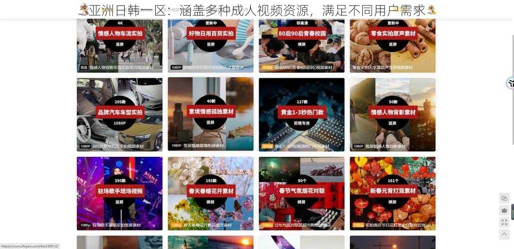 亚洲日韩一区:涵盖多种成人视频资源,满足不同用户需求