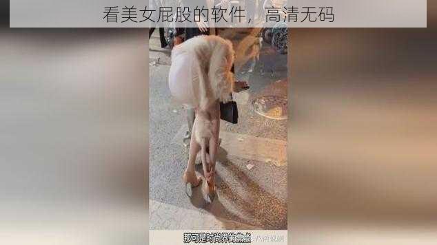 看美女屁股的软件,高清无码