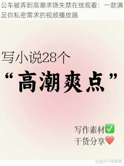 公车被弄到高潮求饶失禁在线观看:一款满足你私密需求的视频播放器