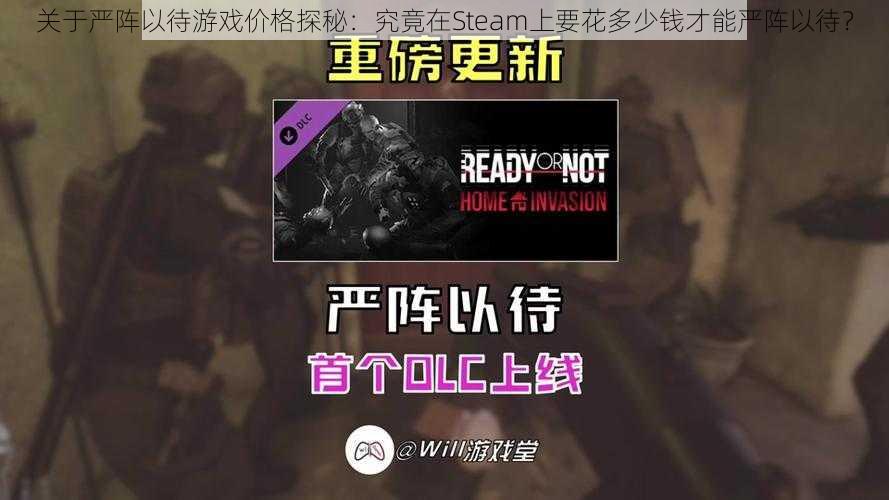 关于严阵以待游戏价格探秘:究竟在Steam上要花多少钱才能严阵以待?