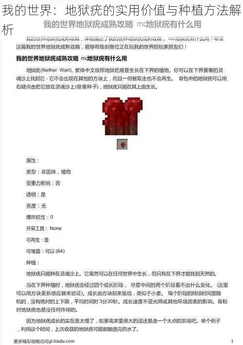 我的世界:地狱疣的实用价值与种植方法解析