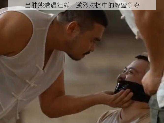 当胖熊遭遇壮熊:激烈对抗中的蜂蜜争夺