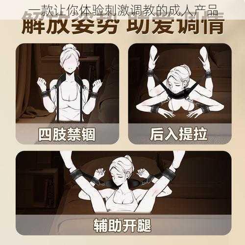 一款让你体验刺激调教的成人产品